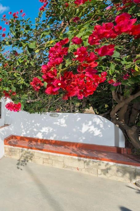 Greek Style Ground Floor Apartment & Pool Jalisos Zewnętrze zdjęcie