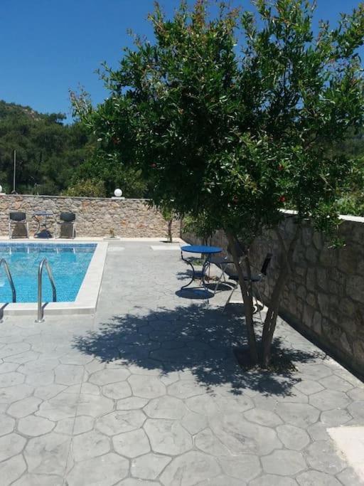 Greek Style Ground Floor Apartment & Pool Jalisos Zewnętrze zdjęcie