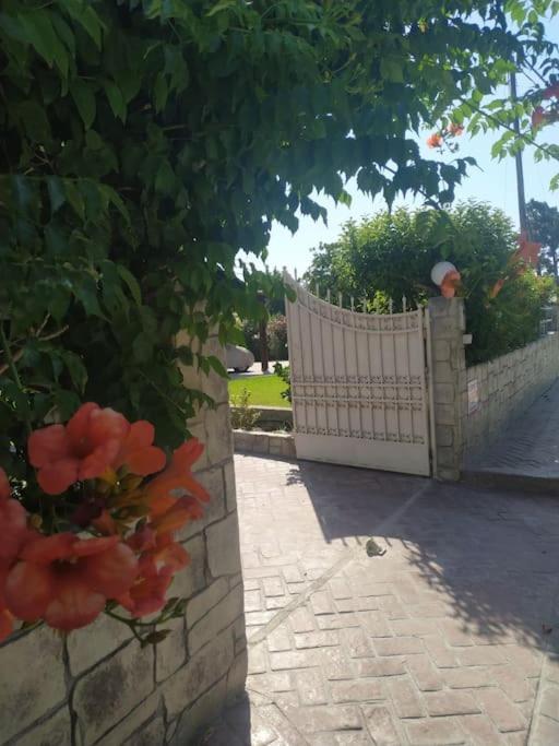 Greek Style Ground Floor Apartment & Pool Jalisos Zewnętrze zdjęcie